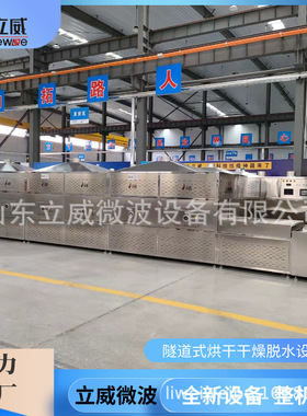 学生餐二次回温隧道炉 微波盒饭加热设备 面食包子便当杀菌加热机