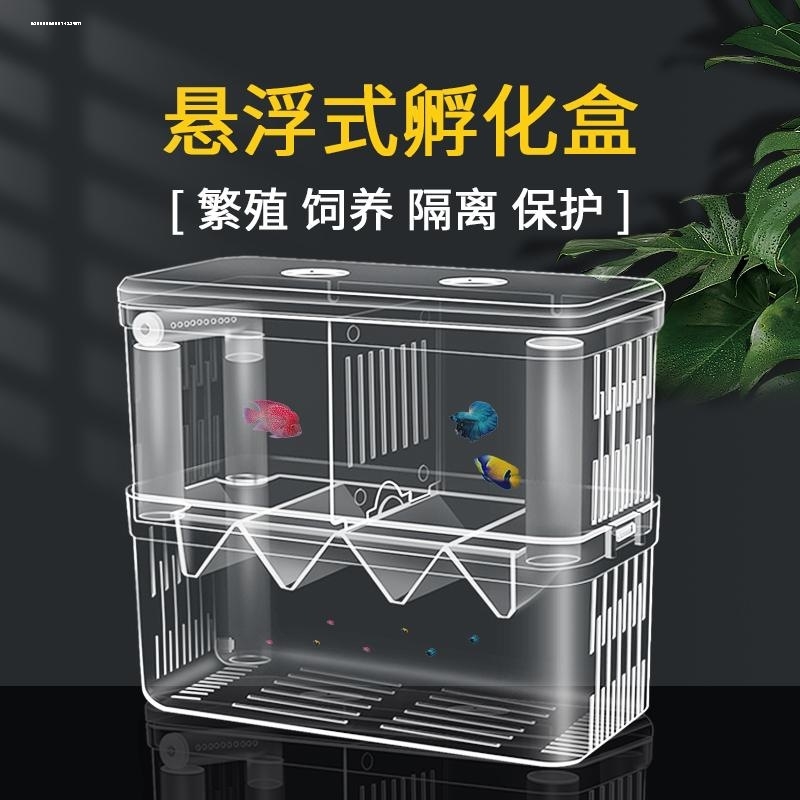 孔雀鱼隔离繁殖盒鱼缸鱼苗幼鱼小鱼分隔盒凤尾鱼孵化孕母鱼生产桶