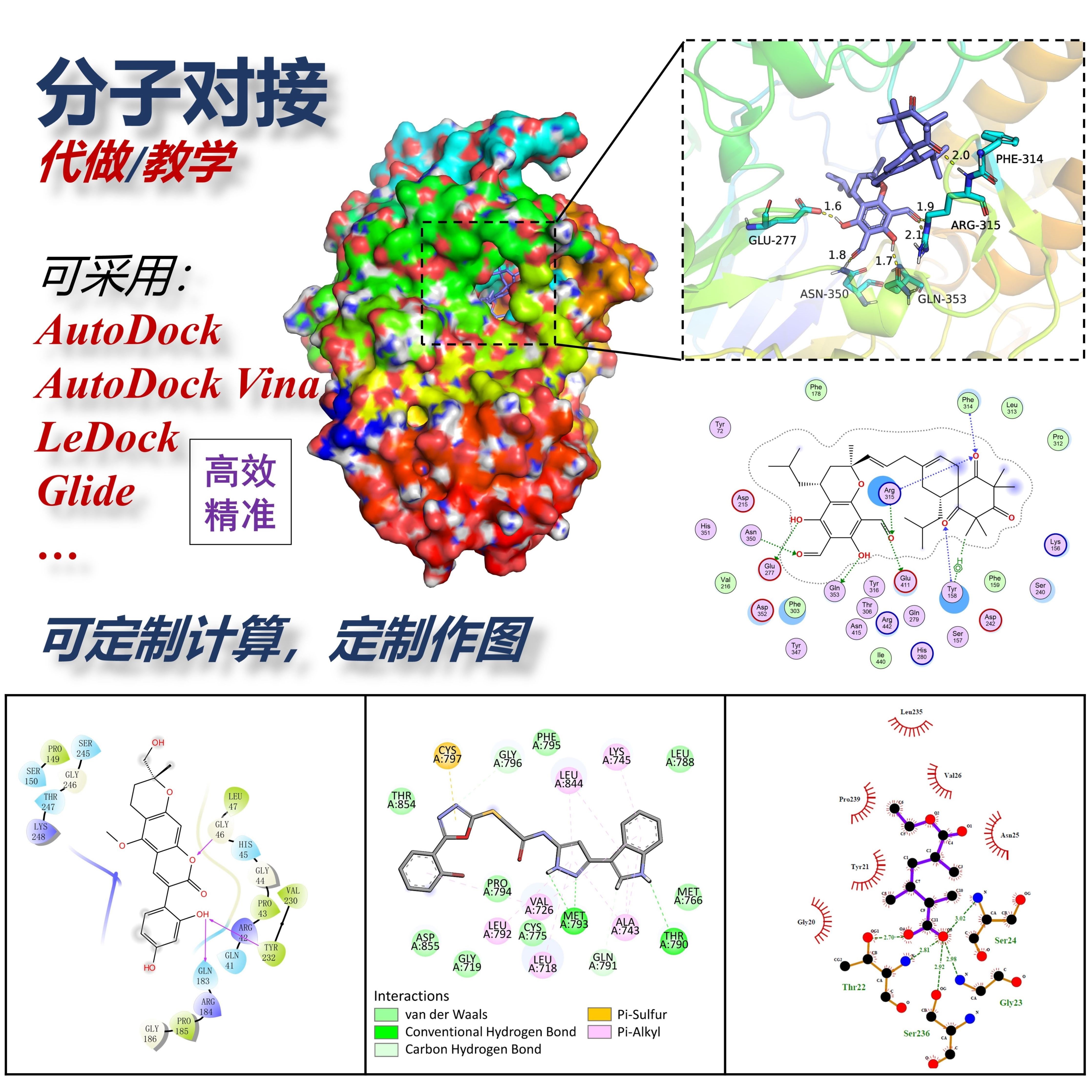 分子对接 分子动力学模拟  虚拟筛选 网络药理学 批量对接