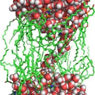 Gromacs远程安装编译2025Linux/mac/win分子动力学软件模拟