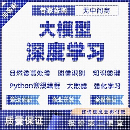 python代做编程AI智能体目标检测神经网络NLP知识图谱机器学习