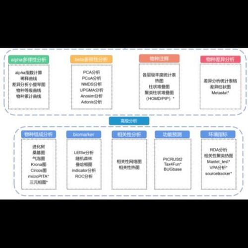 微生物组16SrRNA测序数据分析/扩增子/QIIME2/OTU/ASV/功能预测