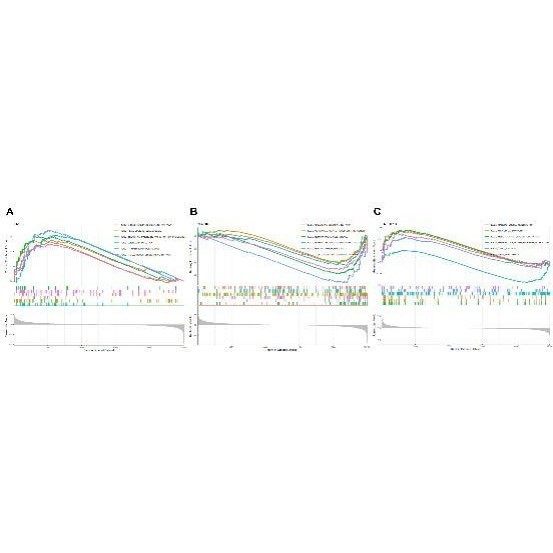 医学生信分析 单细胞测序生信3-5思路 TCGA数据库挖掘KEGG,GO分析,商务/设计服务,2D/3D绘图,淘宝优惠券,粉丝福利购,淘宝优惠卷