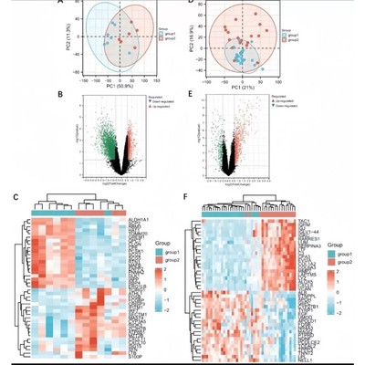R语言代码Rstudio绘图SCI科研生信医学桑基热图数据分析作图
