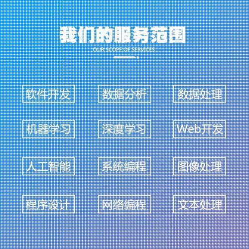 Python代编程深度学习神经网络自然语言处理数据预测知识图谱接单