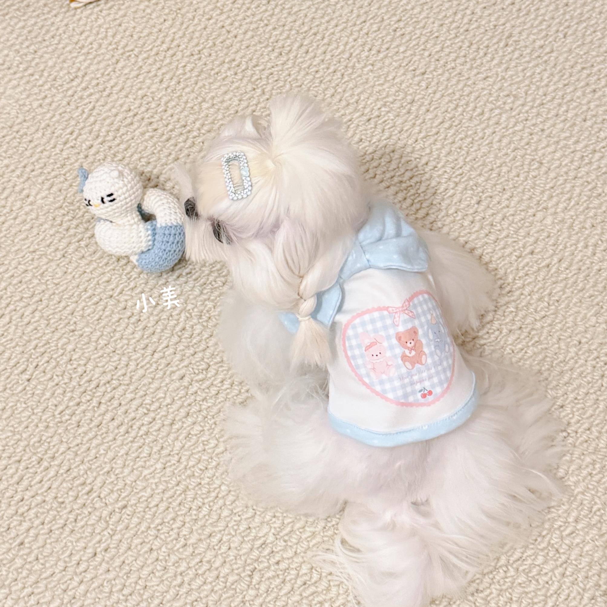 2025新款秋冬打底波点领结宠物猫狗衣服棉比熊泰迪保暖无袖背心