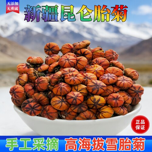 昆仑雪胎菊新疆特产雪胎菊泡水喝