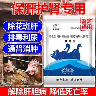 肝肾宝兽用保肝护肾猪牛羊家禽通用尿酸盐沉积排毒利尿消肿添加剂
