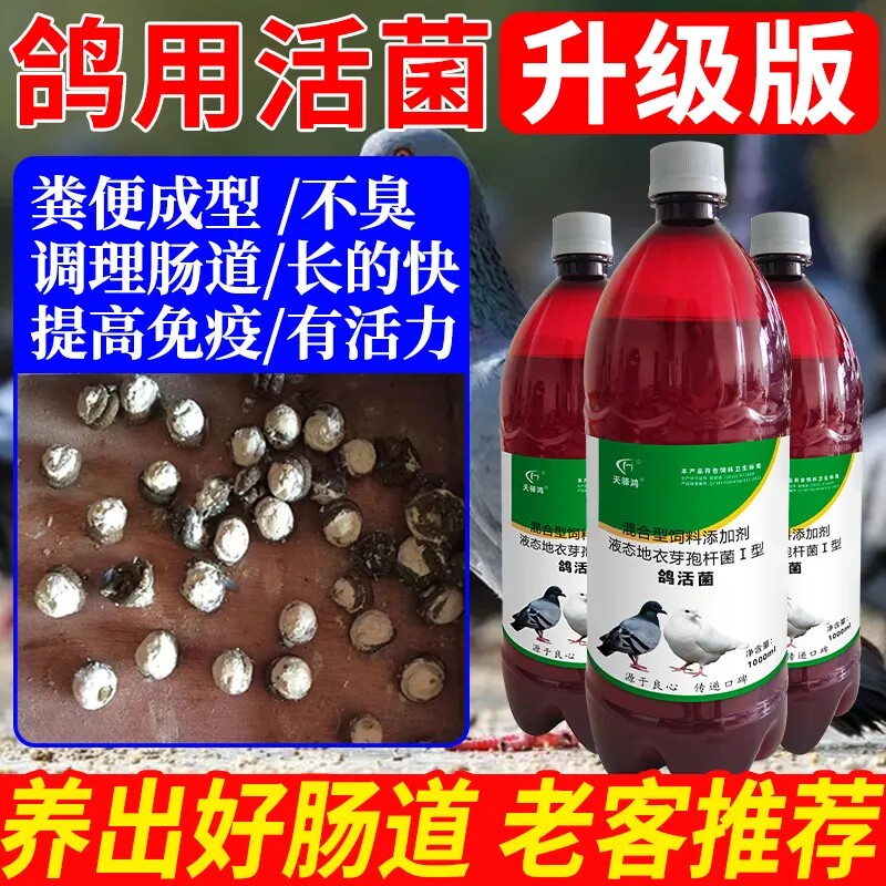 活菌鸽用非鸽子用品常见病肠道用拉水绿稀毛滴虫便肝精电解质专用