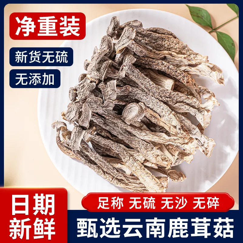 鹿茸菇干货鹿茸菌500g包邮古田脆脆菇新鲜头茬土特产煲汤食材香菇