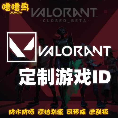 Valorant无畏契约定制游戏ID车贴