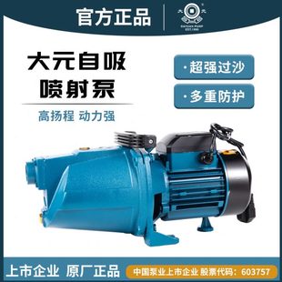喷射泵家用自来水增压泵水井抽水泵全自动自吸泵220v抽水水泵 大元