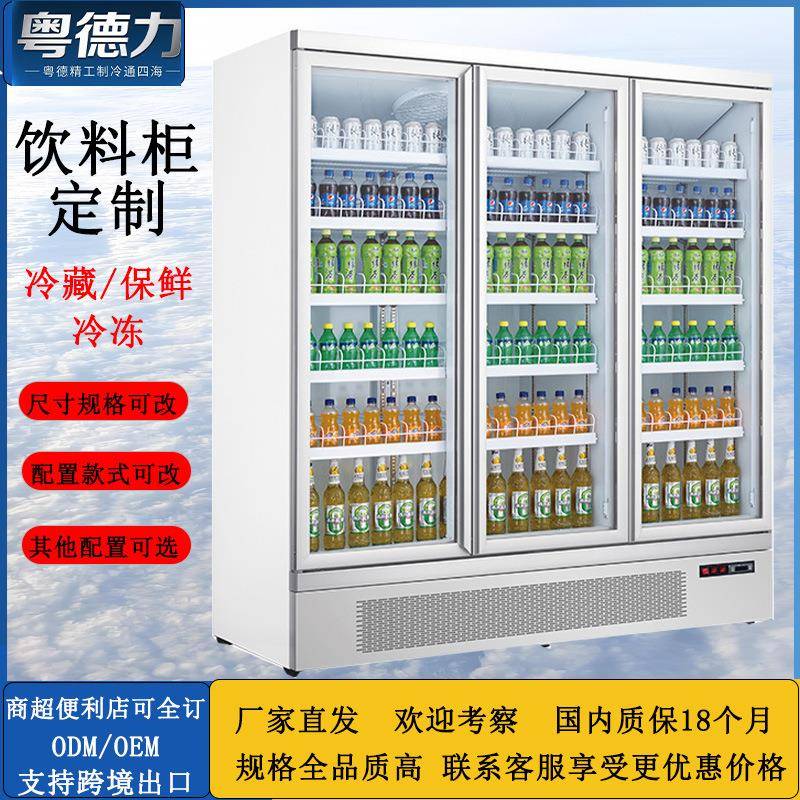 豪华饮料展示柜豪华冷藏冷冻保鲜柜商超便利店立式一体机定制风冷