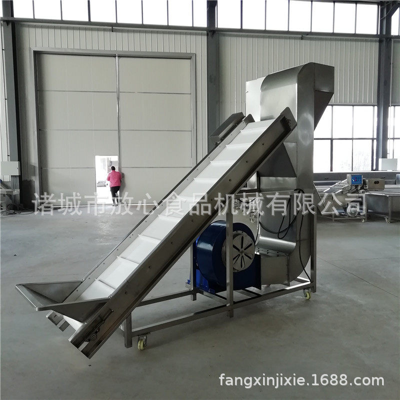 毛豆风选清洗流水线 蓝莓风选清洗流水线 蔬菜水果清洗加工设备,清洗/食品/商业设备,果蔬加工设备,淘宝优惠券,粉丝福利购,淘宝优惠卷