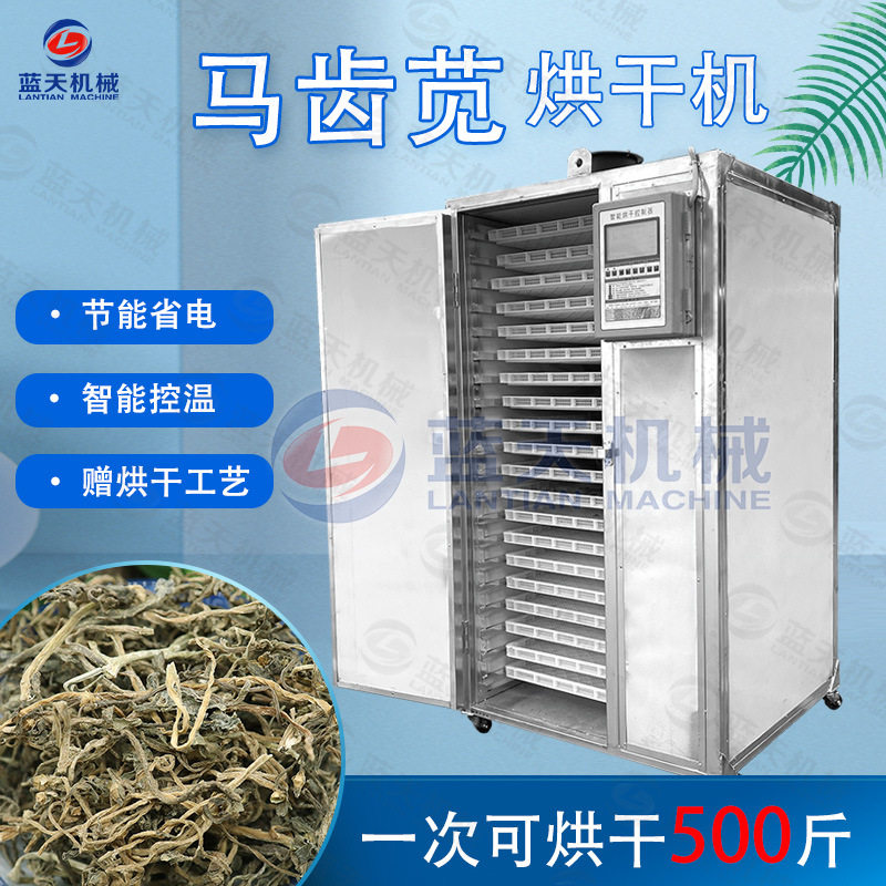 蓝天马齿苋烘干机小型商用 五行草麻绳菜烘干箱 马齿菜烘干机设备