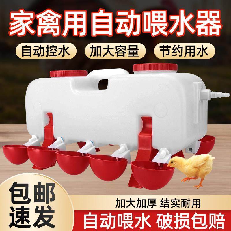 鸡用自动饮水器家禽饮水碗小鸡喝水培殖雏鸡鸭鹅鸽子喂水器水壶桶,畜牧/养殖物资,畜牧/养殖器械,淘宝优惠券,粉丝福利购,淘宝优惠卷