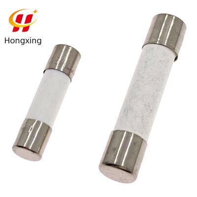 F2AL250V快熔断2A保险丝5x20/6*30mm熔断器陶瓷保险管