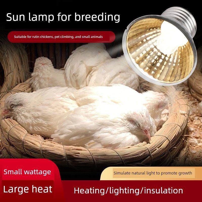 芦丁鸡保温灯小鸡育雏保暖灯乌龟晒背灯泡宠物加热烤灯养殖小太阳,宠物/宠物食品及用品,爬宠灯具,淘宝优惠券,粉丝福利购,淘宝优惠卷