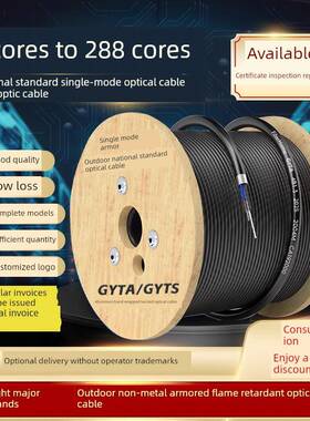 Gyta/S单模室外铠装光纤4芯8芯12芯24芯48芯96芯144芯国标光缆