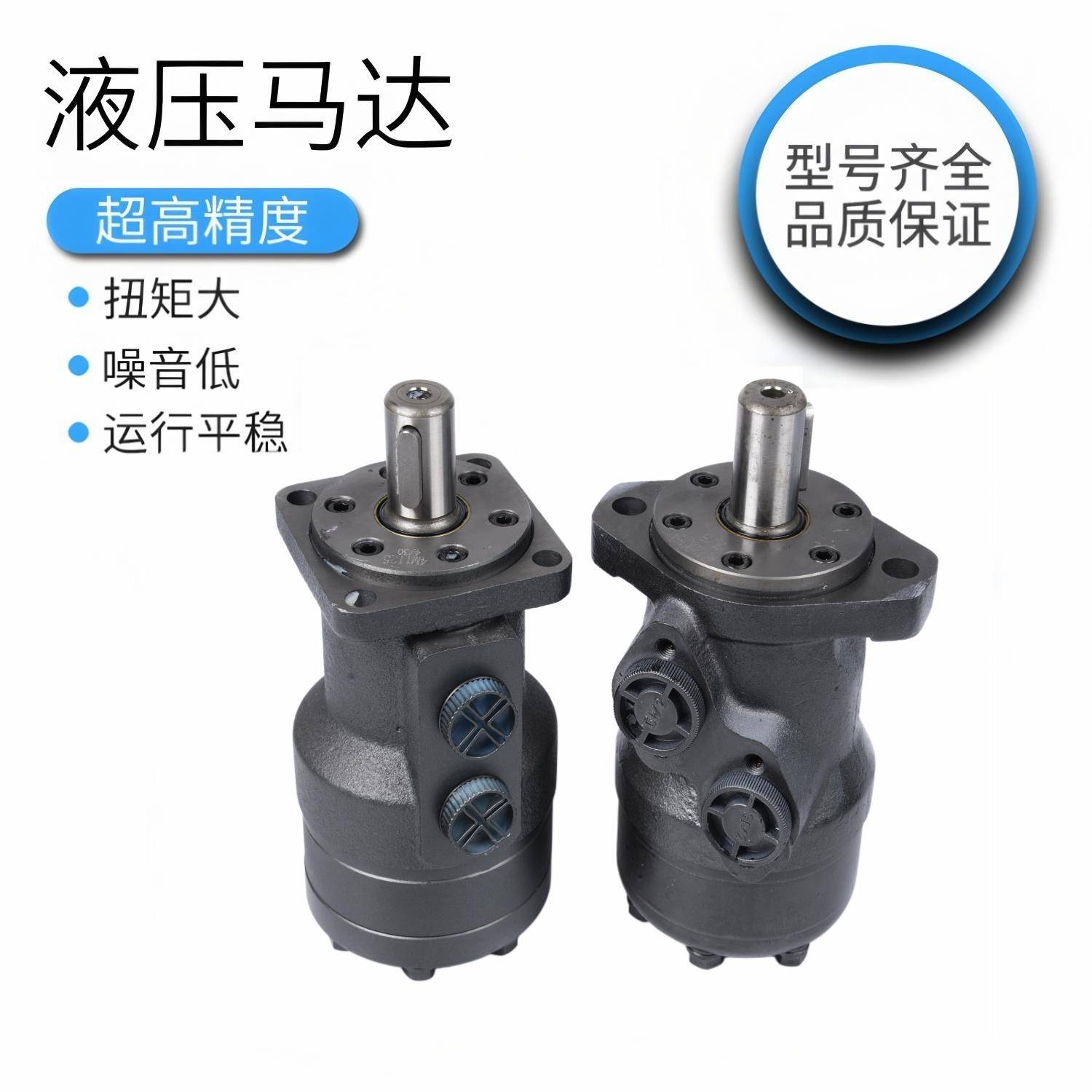 ZHENJIANG 镇江液压马达BMR36 50 80 100 125 160 200 250 315400