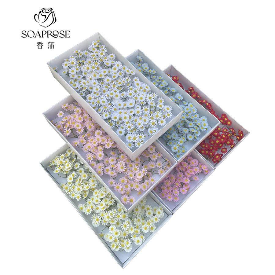 油画风洋甘菊小雏菊香皂花仿真花肥皂花永生花束礼盒diy装饰材料