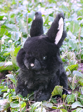 日本sunlemon进口仿真瓦哈纳黑兔子玩偶毛绒玩具 兔宝宝 早教礼物