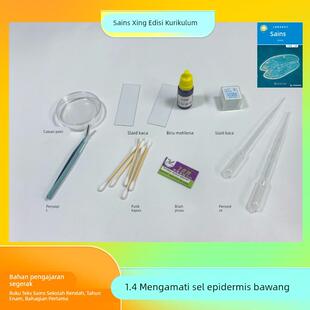 观察洋葱表皮细胞 盖玻片载玻片镊子培养皿棉签刀片染色剂滴管