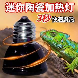 陶瓷加热灯爬宠无光取暖红外线 线uvb灯泡鹦鹉陆龟发热保温宠物烤