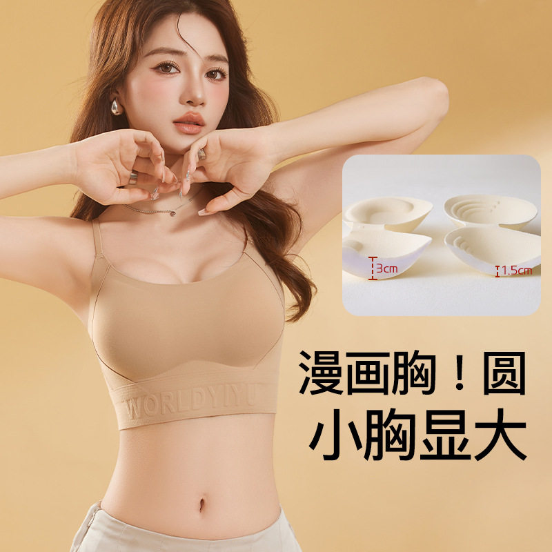 黛安芬丽格秋冬磨毛文胸女无痕防下垂收副乳小胸显大新款保暖内衣