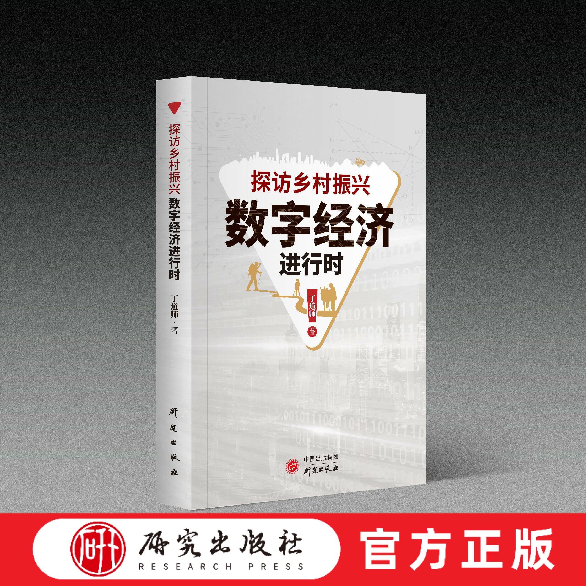 探访乡村振兴:数字经济进行时 丁道师著 消费升级 产业赋能 人才培育 网络公司 关系农村 互联网经济 数字经济建设 正版书籍研究社