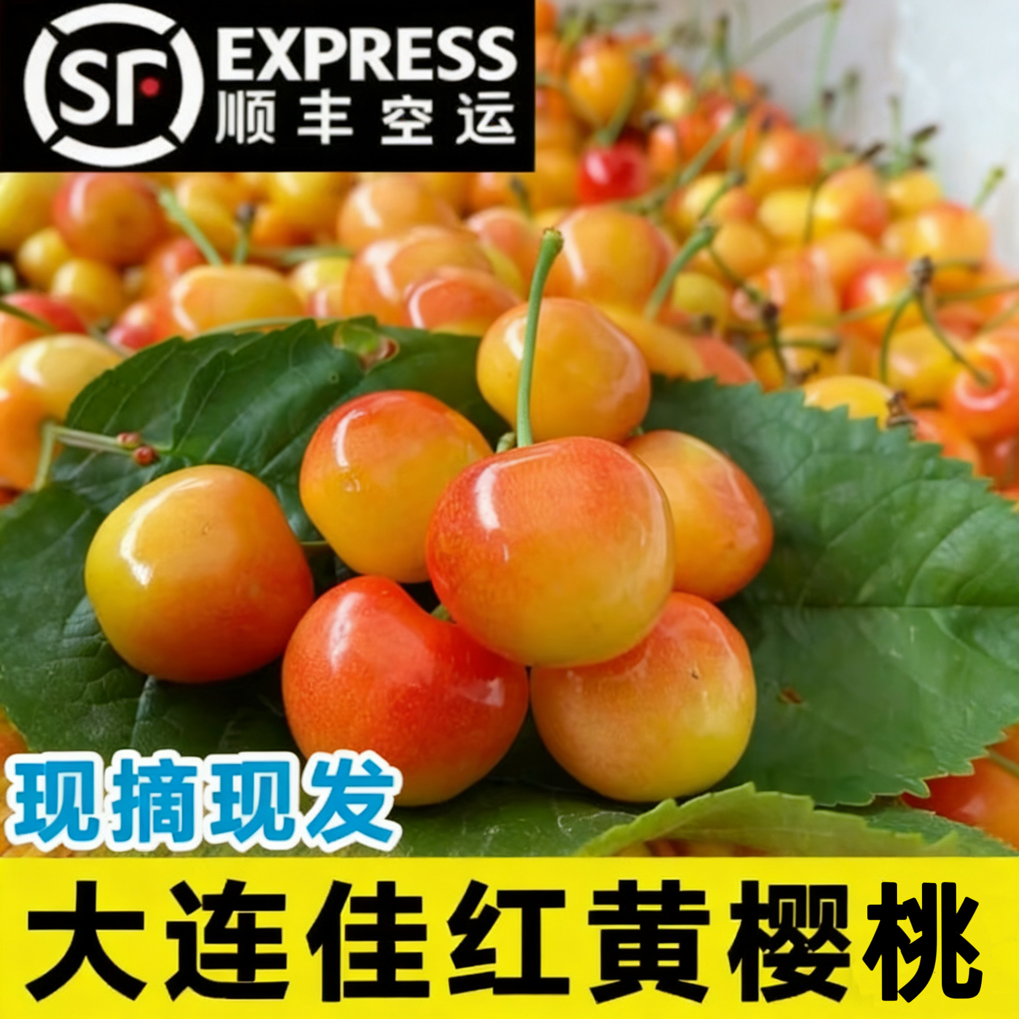 3斤5j大连黄金樱桃4j黄樱桃国产车厘子佳红特级大樱桃新鲜黄蜜甜