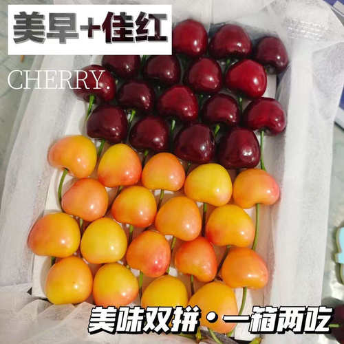 大连美早黄樱桃双拼顺丰空运