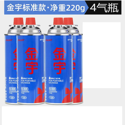 户外便携防爆气罐套装小瓶液化瓦斯气卡式炉卡V磁丁烷燃气气瓶