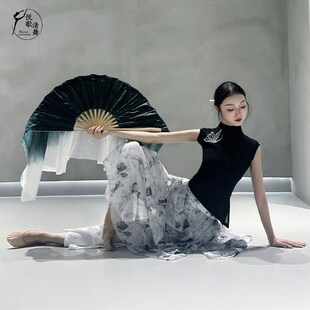 黑色舞蹈a上衣现代演出服女飘逸2024新款仙气显瘦中国古典舞练功