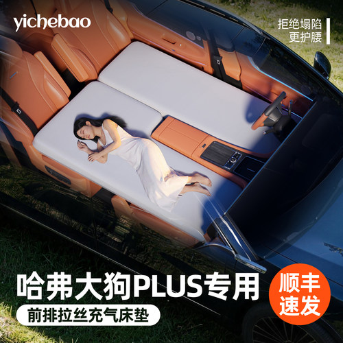 【哈弗大狗PLUS】前排拉丝床垫