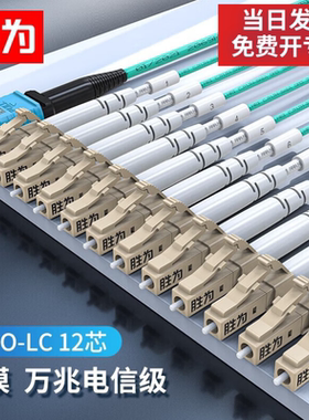 胜为光纤跳线MPO-LC12芯网线多模OM4万兆40G光模块集束光纤MPO-LC/12芯FMPL-1203