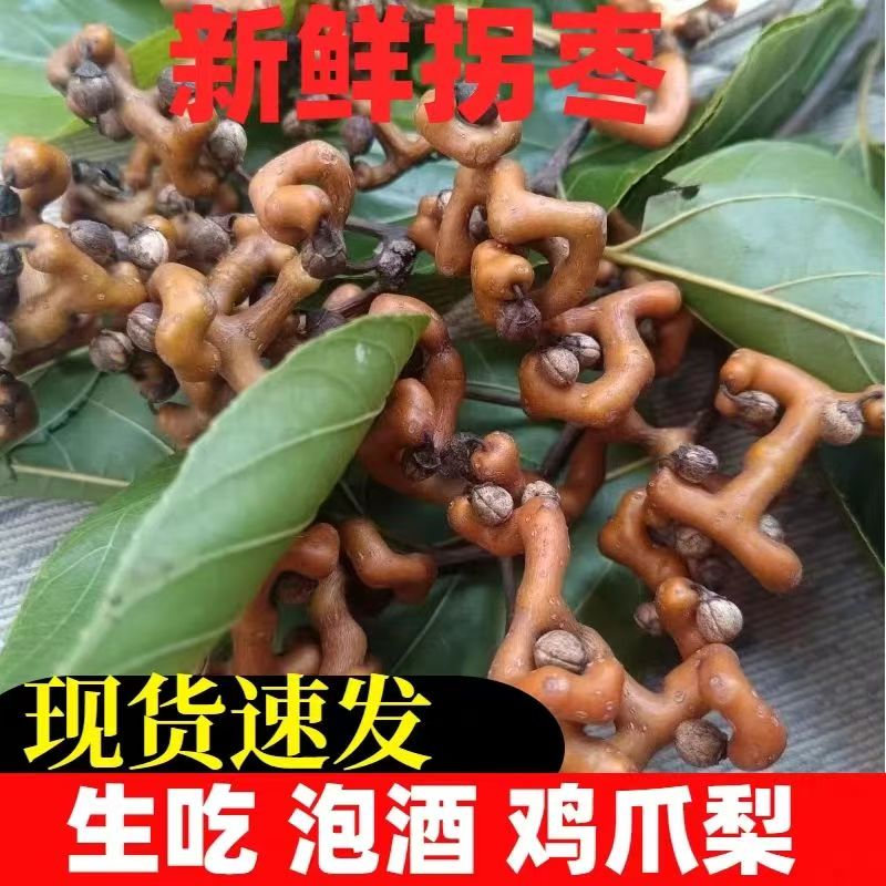 25年新鲜拐枣专用煲汤野生泡酒鸡爪万寿果拐枣新鲜鸡爪梨
