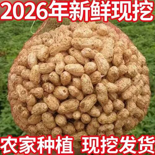 2026当季新鲜生花生带壳湿花生农家自种现摘现挖粉红皮水煮嫩花生