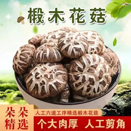 【新货无硫】净重大个干花菇干货大花菇肉厚无根冬菇花菇农家自产