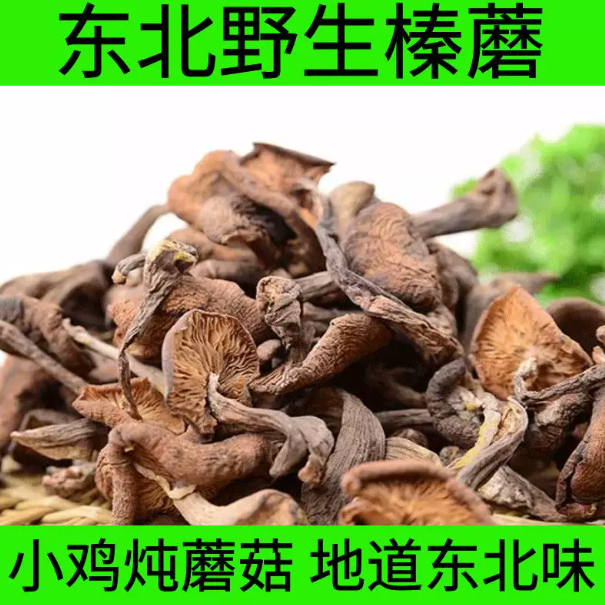榛蘑东北野生蘑菇特干货级罐装长白山小鸡炖香菇的干臻蘑榛菇