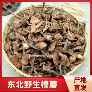 榛蘑东北野生蘑菇榛蘑干货500g 小鸡炖蘑菇无根榛蘑丁新货 包邮