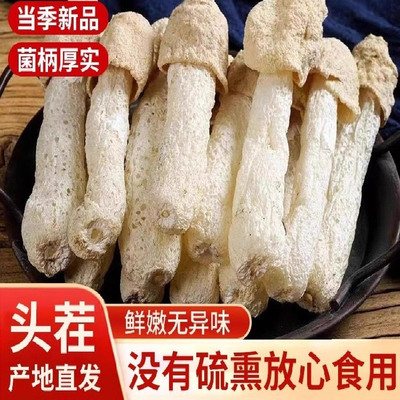 竹荪干货新货竹荪古田特级天然竹笙菌农家无硫特产菌菇干山野干货