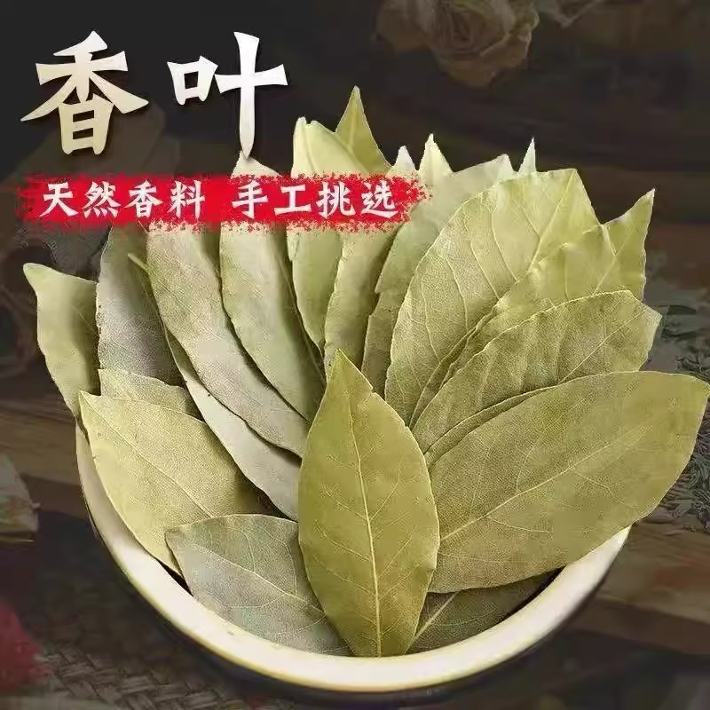 广西香叶天然月桂叶精选香料500g卤料调料商用可粉料另售八角