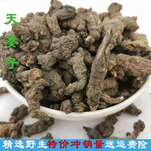 天葵子中药材 精选千年老鼠屎紫背天葵天去子金耗子屎天葵根500克