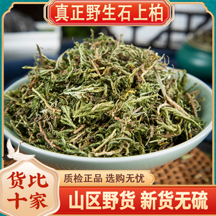 野生石上柏500g克中药材石上柏中草药石柏新鲜干货地柏草地侧柏叶