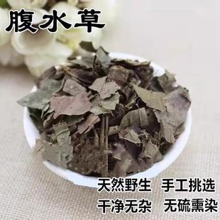 深山新鲜腹水草仙桥草翠梅草梅叶伸筋草多穗草两头爬现采仙人搭桥