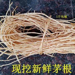 中草药白茅根新鲜野生白茅根中药材芦根藕节白矛毛根茅草根竹蔗茶