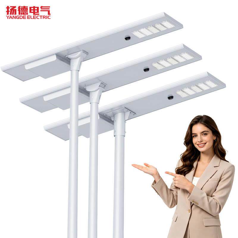道路专用太阳能一体路灯 60W100W120W 大容量锂电池 出口认证灯具