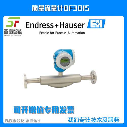 DN15质量流量计8F3B15-AAIBABEFAASAFMWAA1