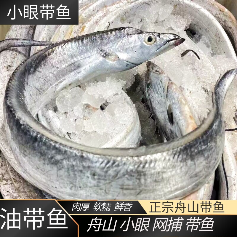 舟山雷达网特大冷冻整条带鱼